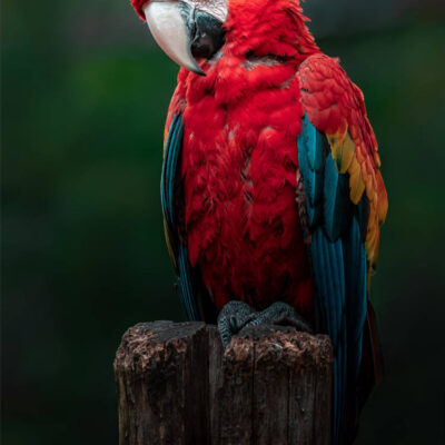 Image for choice number 10