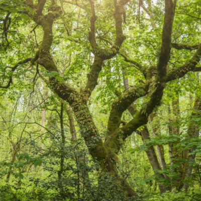 Image for choice number 15